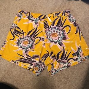 Patagonia Baggie Shorts